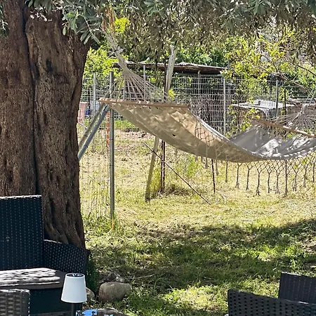 Casa vacanze Elia&petra *